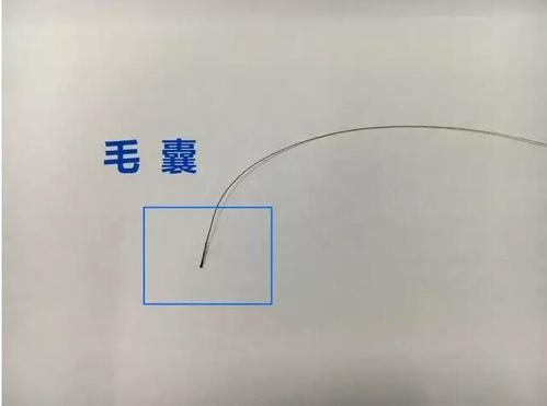 想做個人親子鑒定，頭發(fā)可以鑒定嗎？