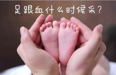 個(gè)人怎么做親子鑒定？
