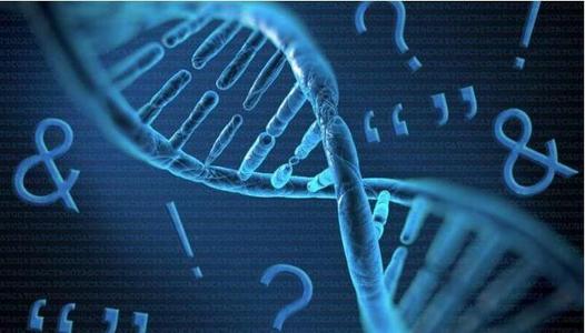 上戶口親子鑒定流程有那些呢？